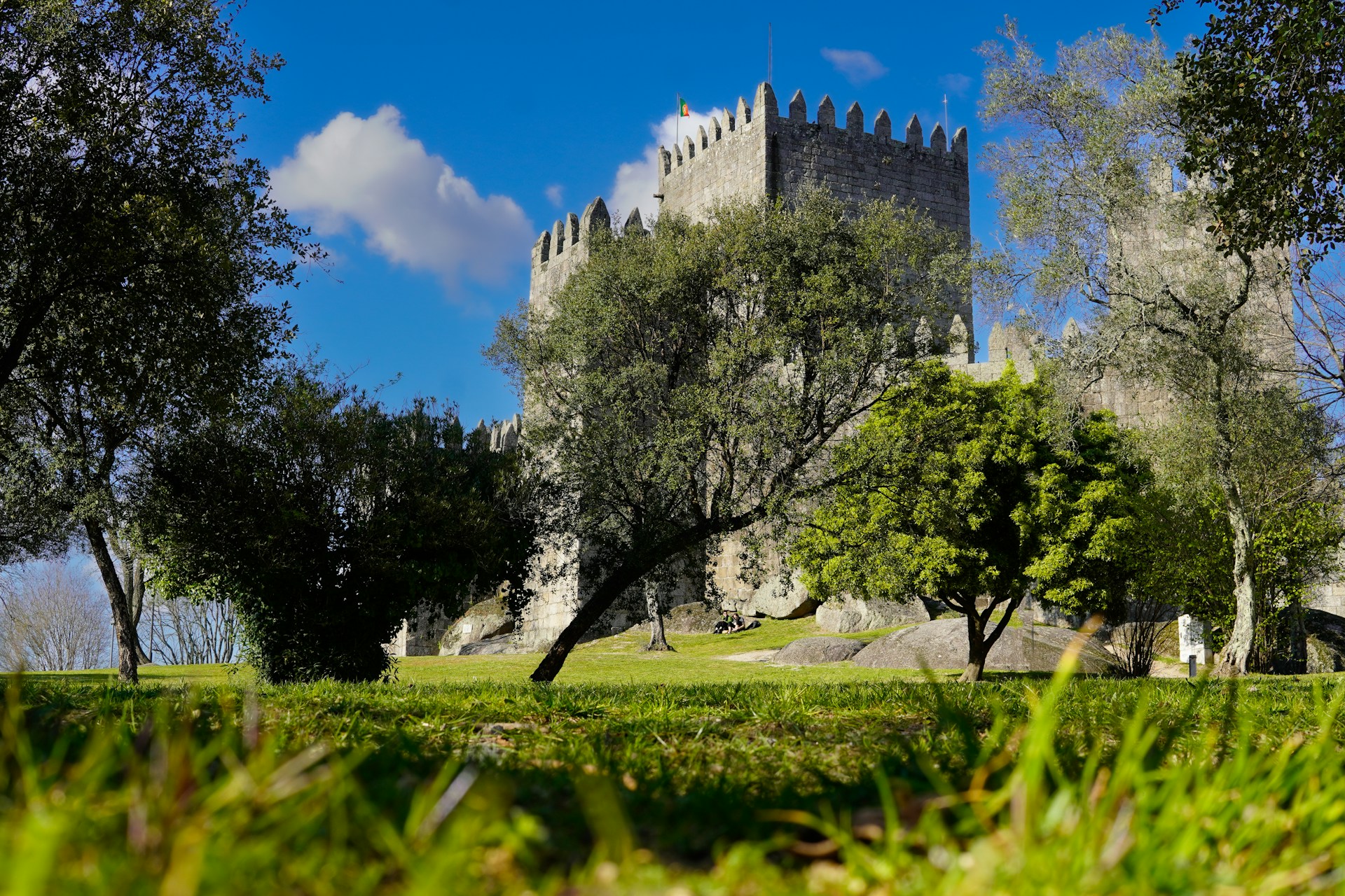a castle with trees and grass in the foreground